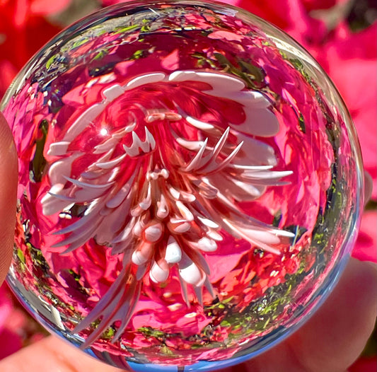 Red and White Flower Jellyfish XL Marble (55mm)