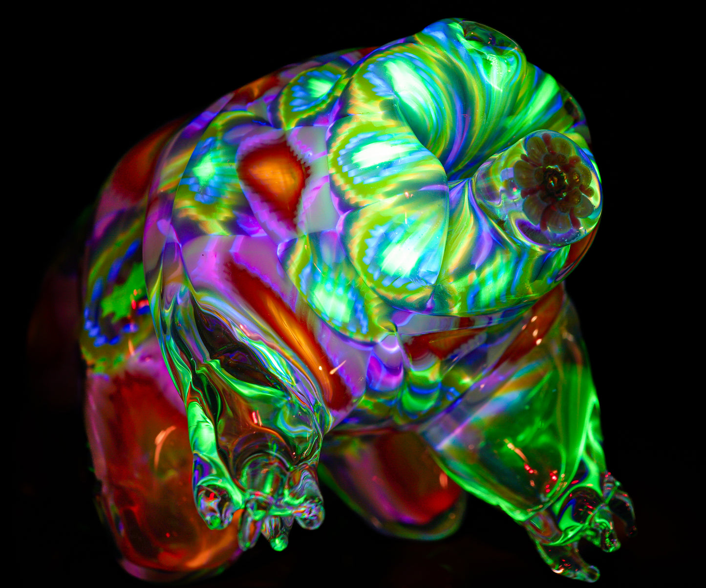 "Richard" UV Tardigrade (Water Bear)