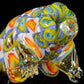 "Richard" UV Tardigrade (Water Bear)