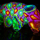 "Richard" UV Tardigrade (Water Bear)