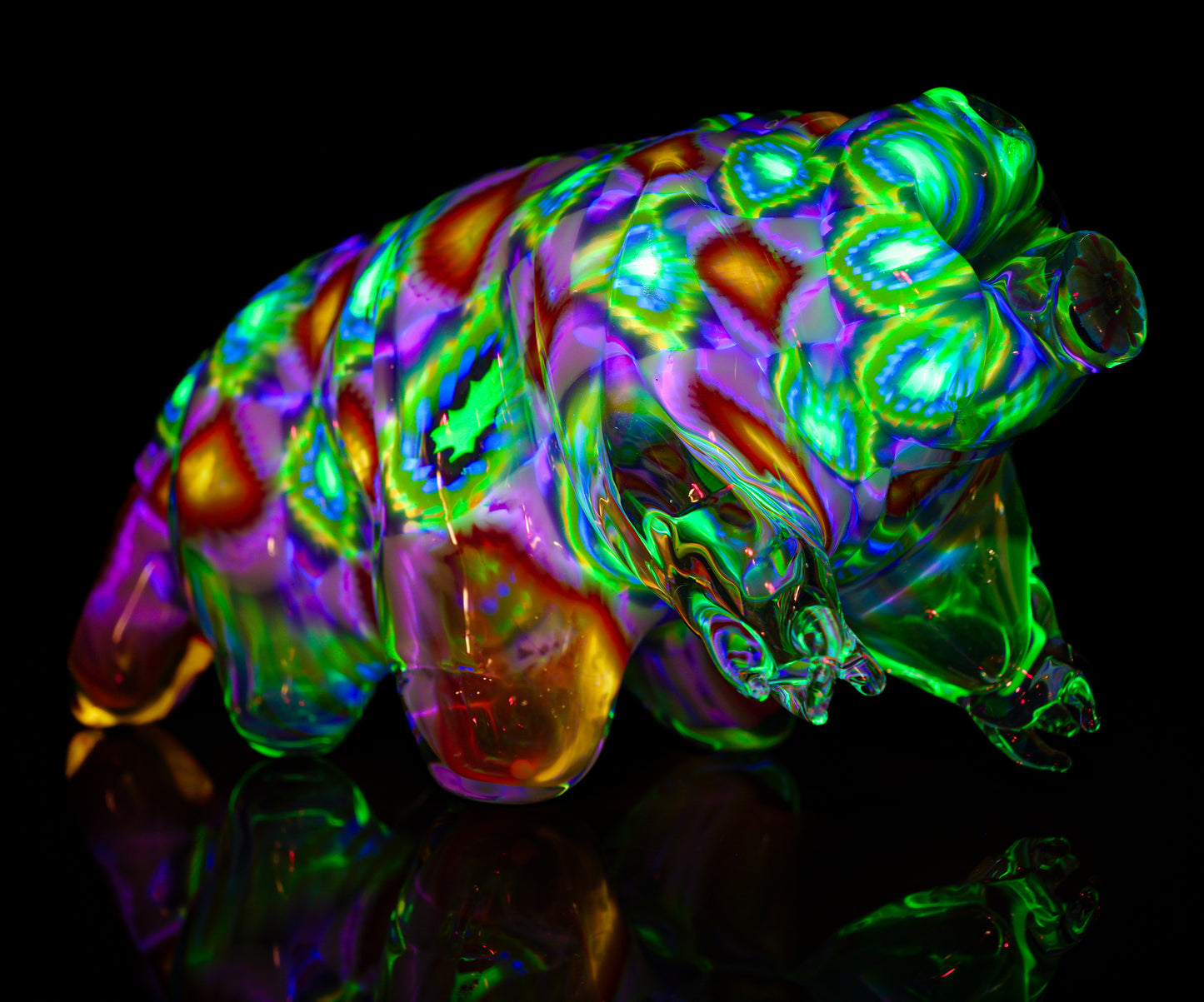 "Richard" UV Tardigrade (Water Bear)