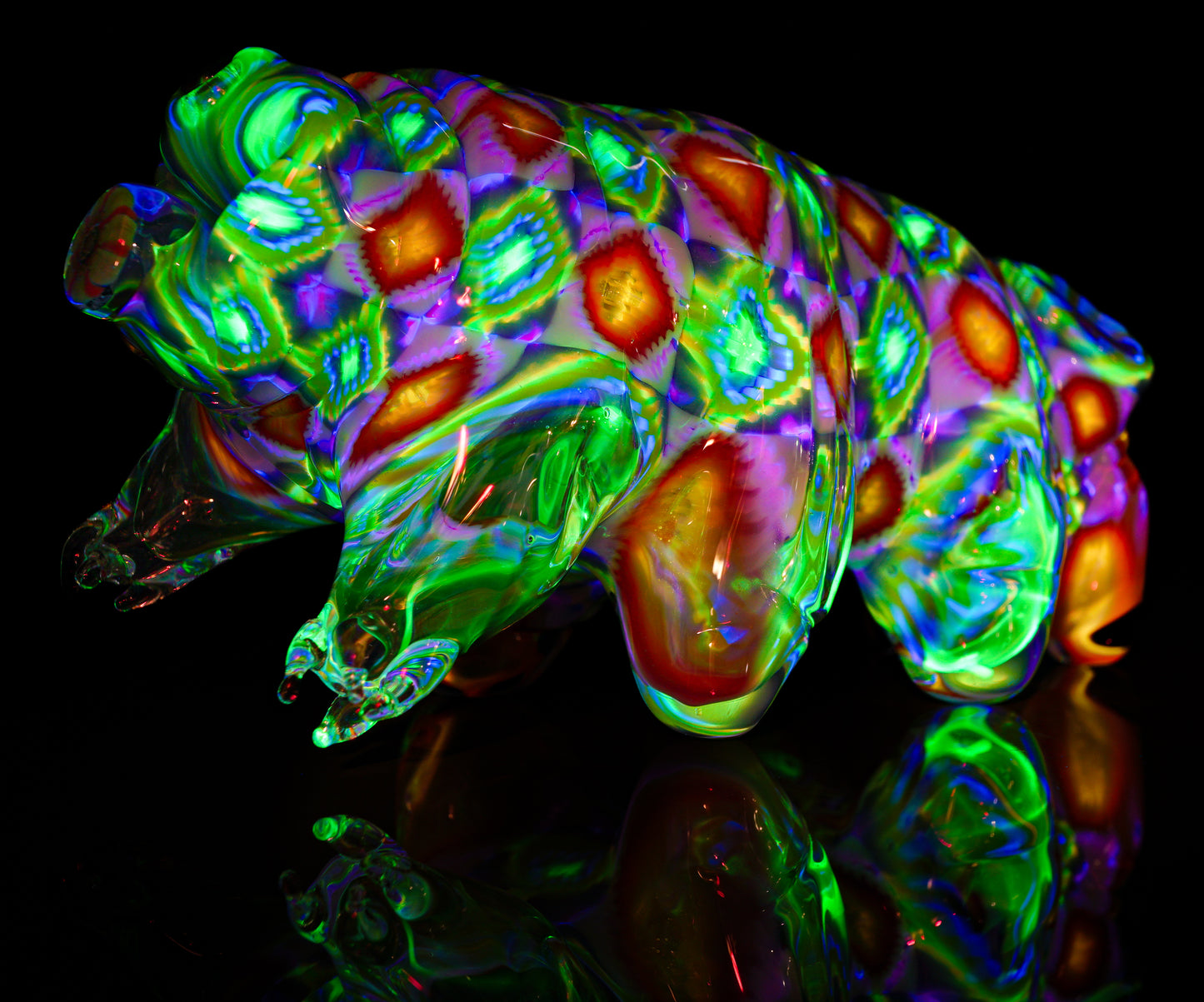 "Richard" UV Tardigrade (Water Bear)