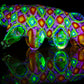 "Richard" UV Tardigrade (Water Bear)